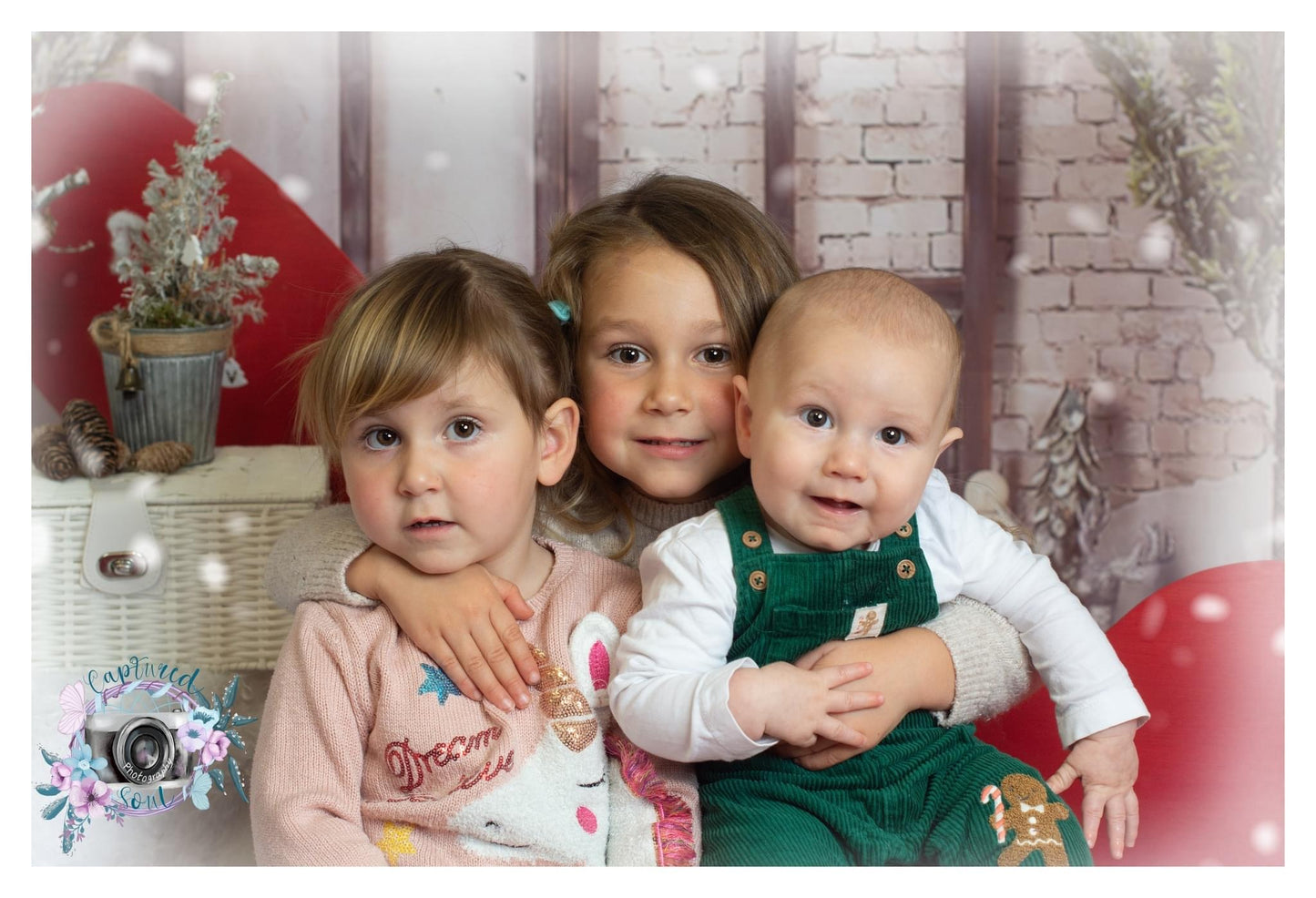 HP Auction Christmas mini photo session with digital package