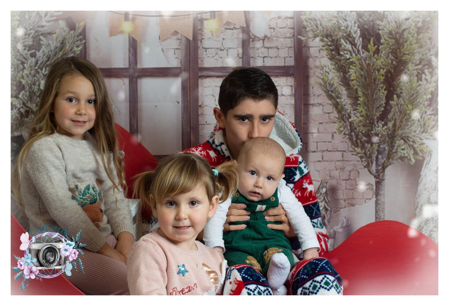 HP Auction Christmas mini photo session with digital package