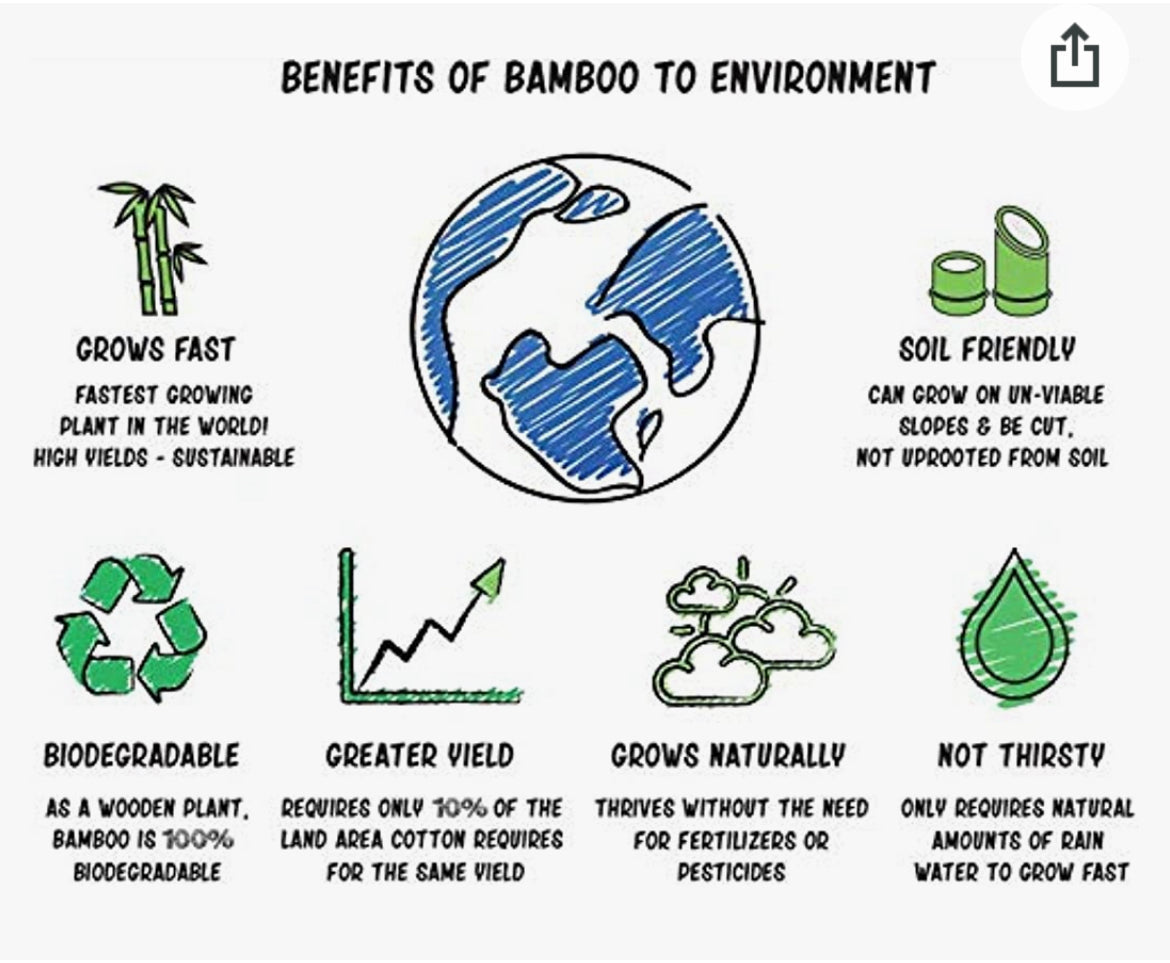 Why bamboo is better for the environment