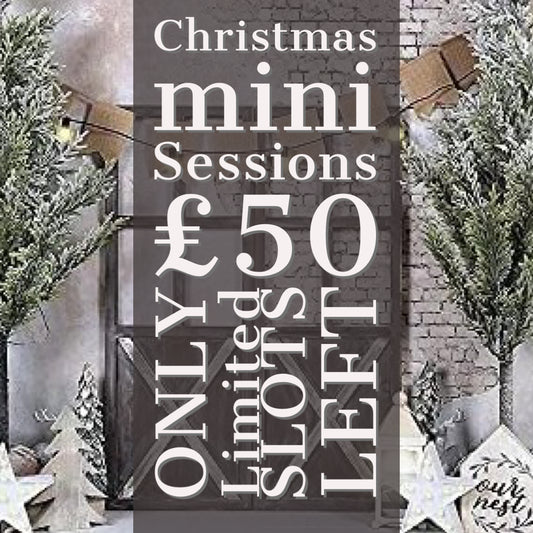 HP Auction Christmas mini photo session with digital package